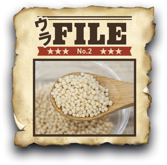 ウラFILE No.2