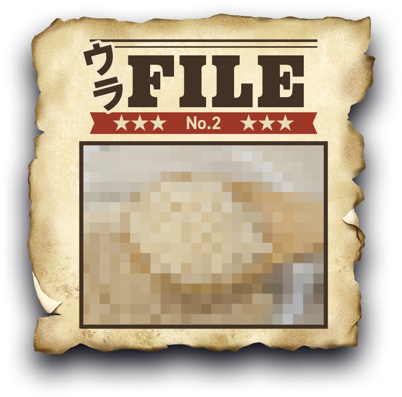 ウラFILE No.2