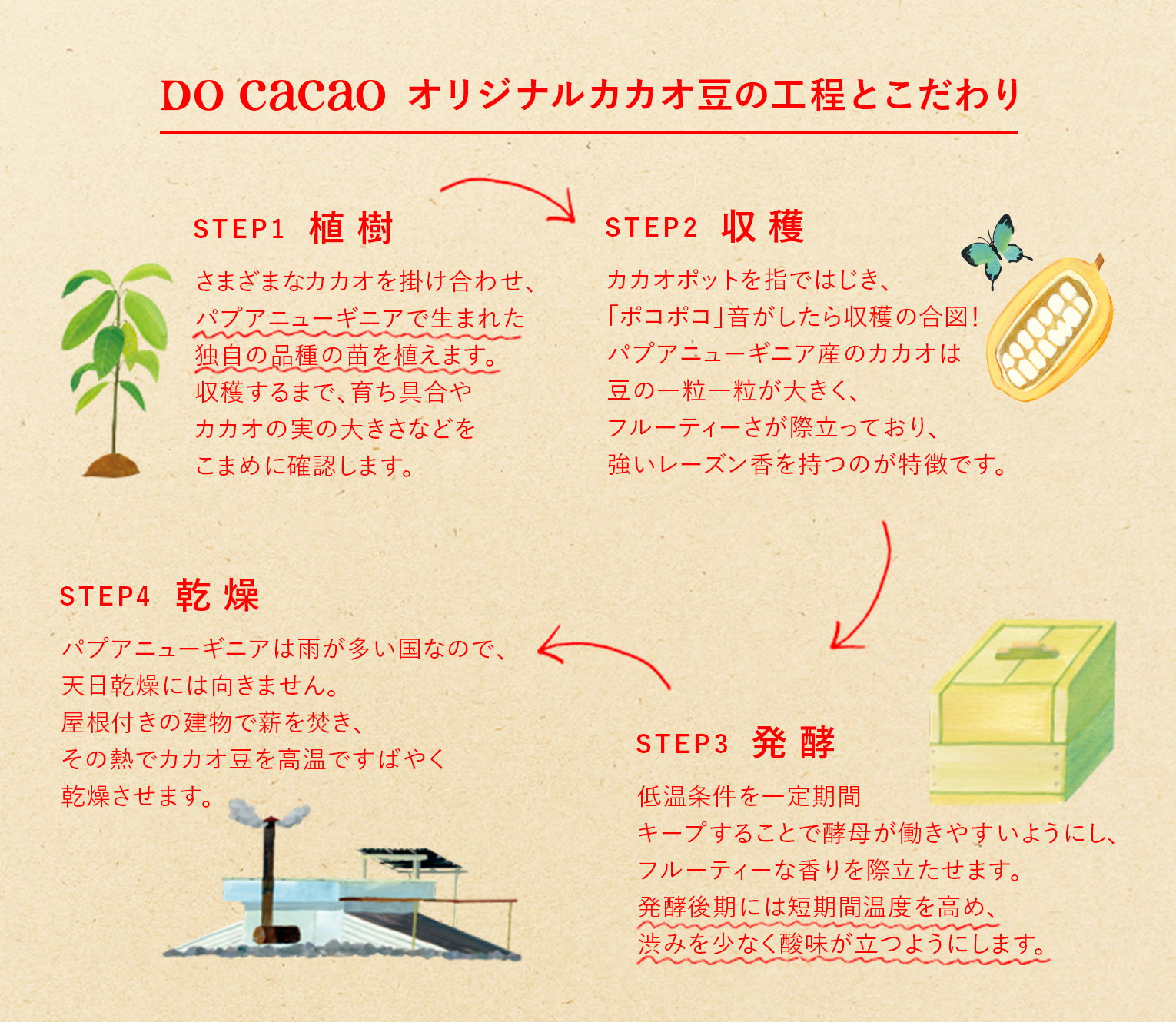 DO Cacao PROJECT｜お口の恋人 ロッテ