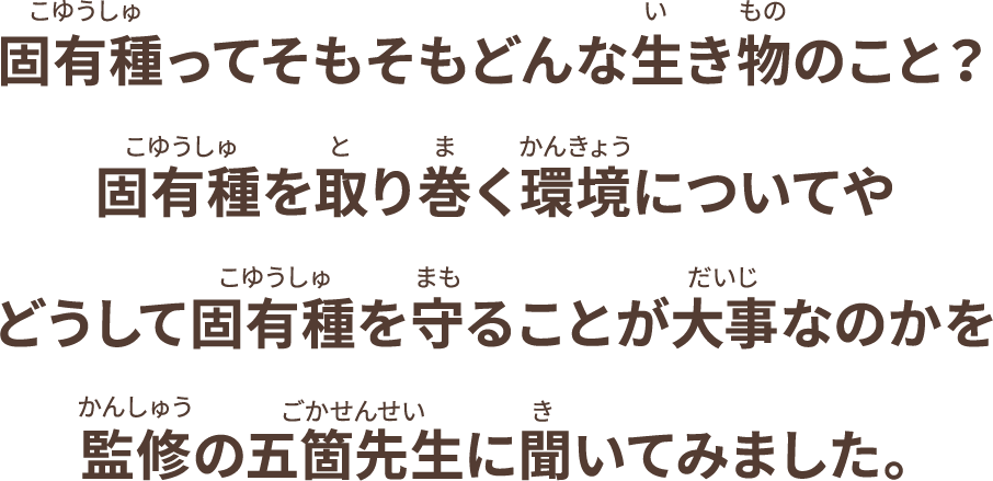 固有種ってそもそもどんな生き物のこと？固有種を取り巻く環境についてやどうして固有種を守ることが大事なのかを監修の五箇先生に聞いてみました