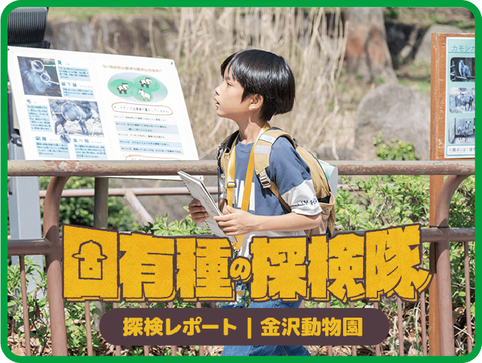 固有種の探検隊 探検レポート 金沢動物園