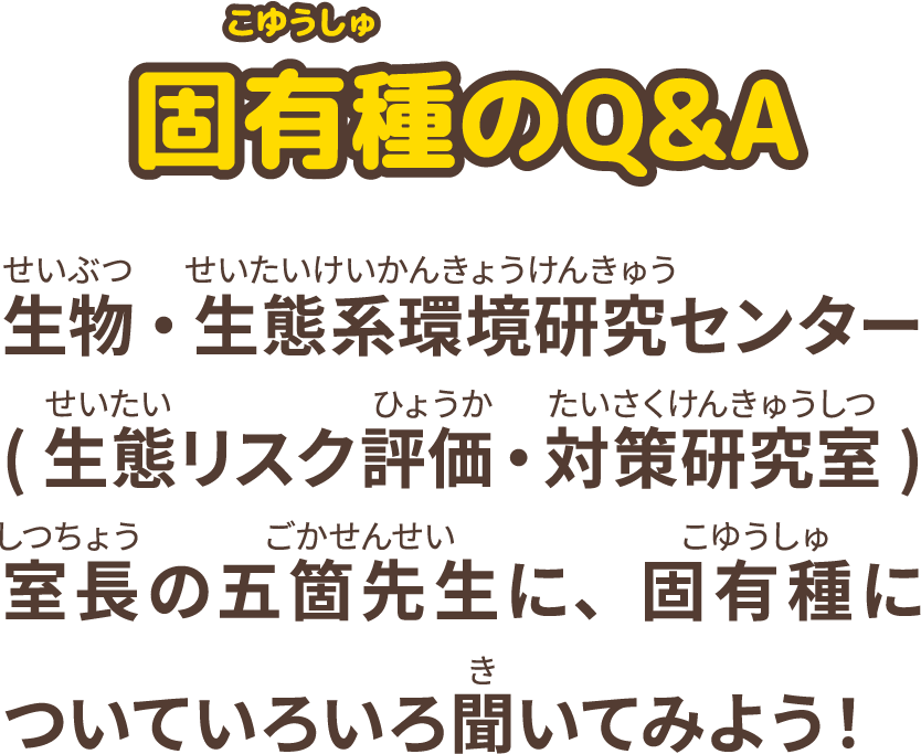 生物・生態系環境研究センター(生態リスク評価・対策研究室)室長の五箇先生に、固有種についていろいろ聞いてみよう！